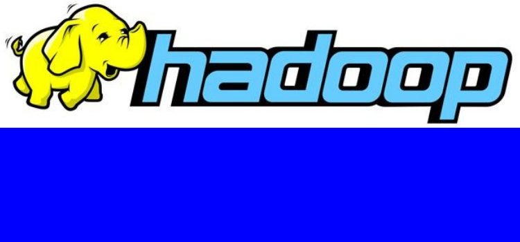 Pseudo Distributed Hadoop Install